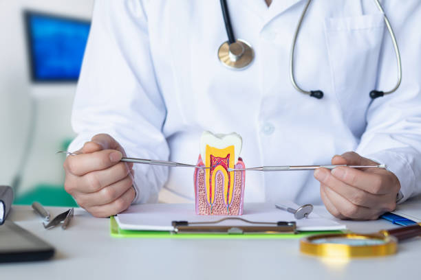 Best Broken or Cracked Tooth Emergency Dentist in Pigeon, MI
